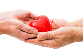 Red heart at the human hands isolated on white